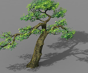 Fairy Mountains - Tree 02