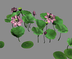 Elves Villa - lotus 04