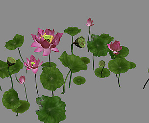 Elves Villa - lotus 06