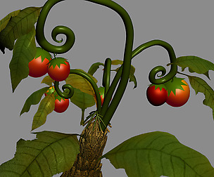 Elves Villa - flowers 01