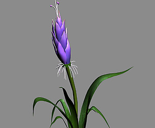 Elven Villa - flowers 03
