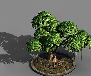 Elven Villa - Broadleaf 01
