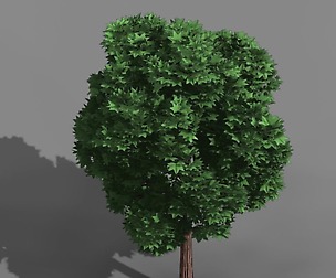 Elven Villa - Broadleaf 03