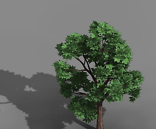 Elven Villa - Broadleaf 04