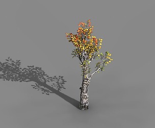 Empty mulberry - birch 01