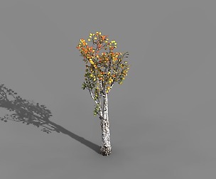 Empty mulberry - birch 02