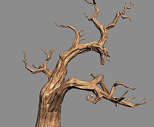Empty Mulberry - dry tree 01