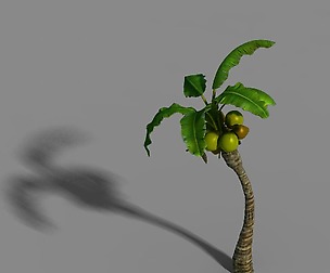 Empty mulberry - coconut tree bend 02