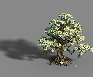 Lanruo Temple - Plants - White Tree 01