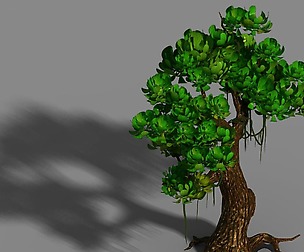 Li Village - Tree 01