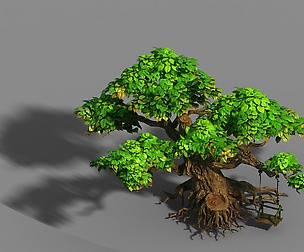 Liuli Island - big tree 01