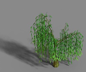 Liuli Island - willow 01