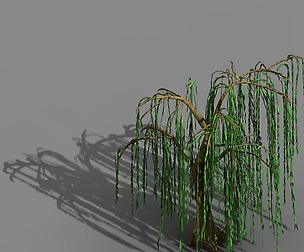 Liuli Island - Willow 02