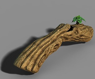 South Qilian - inverted wood