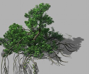 Mountain Hengshan - Dry tree 01