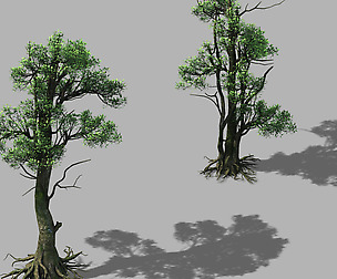 Hengshan Mountain - Tree 03
