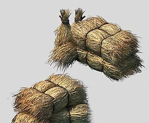 Crop - straw