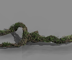 Qingyun Mountain - the trunk vine 01
