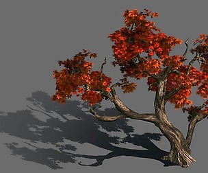 Forest - Maple 9901