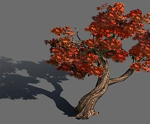 Forest - Maple 9903
