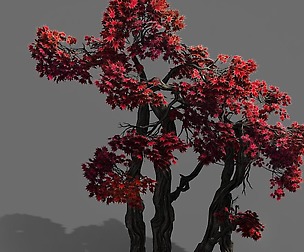 Forest - Maple 9904