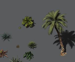 Desert Plants - Hay Grass 273