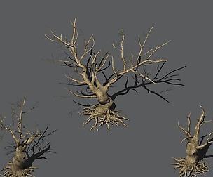 Desert Plants - Dead Trees 271
