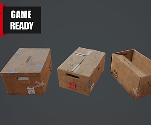 CARDBOARDS Low Poly