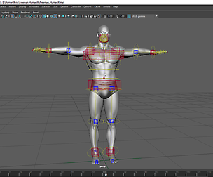 Mike Freeman Human IK Rig