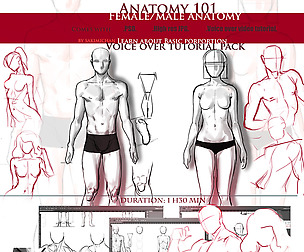 Term 9 porportion 101 tutorial