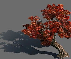 Mountain plants - shrubs 04