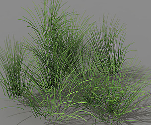 Mountain plants - flowers 04