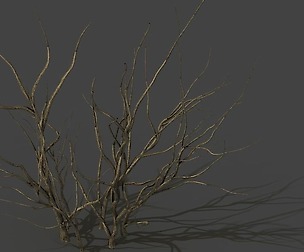 Mountain plants - dry shrubs 03