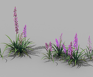 Shanglin Yuan - Plant - Flower 02