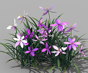 Shanglin Yuan - plants - flowers 03