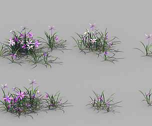 Shanglin Yuan - plants - flowers 04