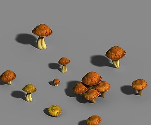 One hundred thousand mountains - mushrooms 01