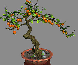 Indoor - potted plants - plants 01