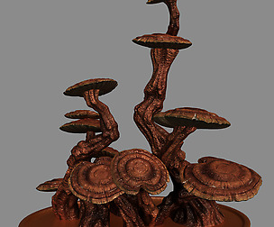 Indoor - potted plants - plants 02
