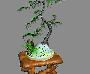 Indoor - potted plants - plants 010