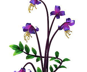 Crystal Marsh - flowers and combinations 01