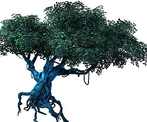 Crystal Marsh - Tree 02