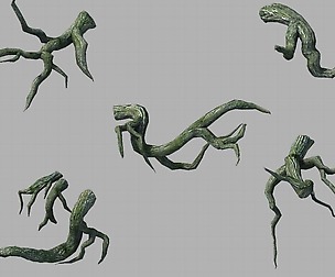 Songshan - plant - tree roots