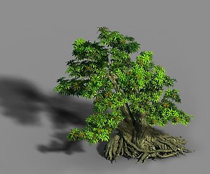 Material - tree 03