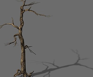 Explore the mountains - dead wood 01