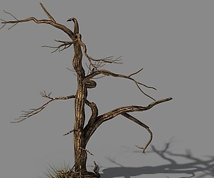 Explore the mountains - dead wood 02