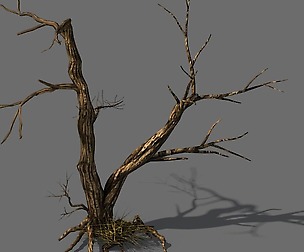 Explore the mountains - dead wood 03