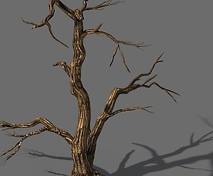 Explore the mountains - dead wood 04