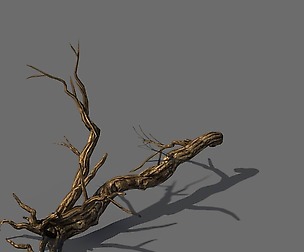 Explore the mountains - dead wood 05