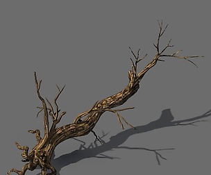 Explore the mountains - dead wood 06